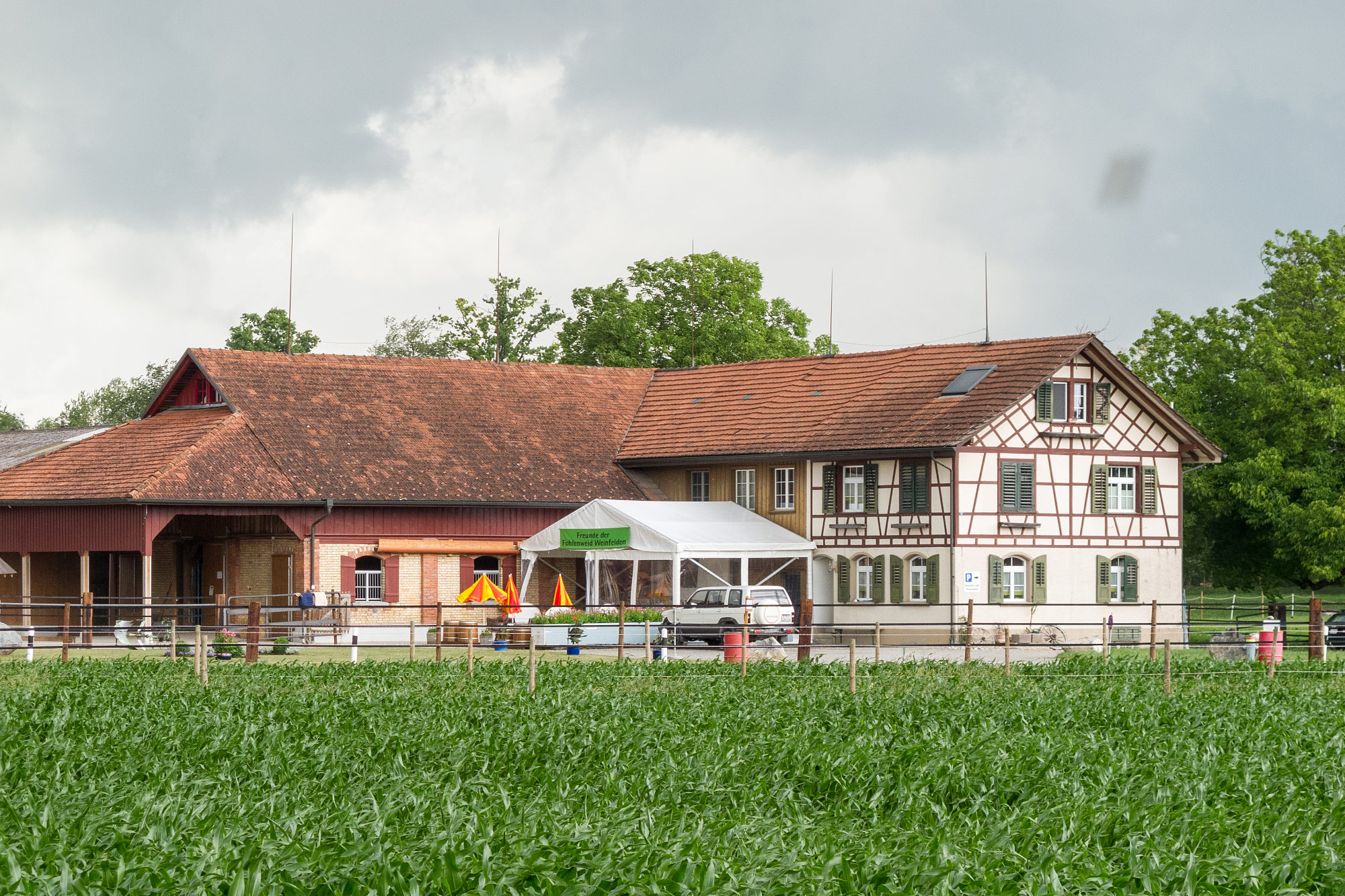 Weinfelden
